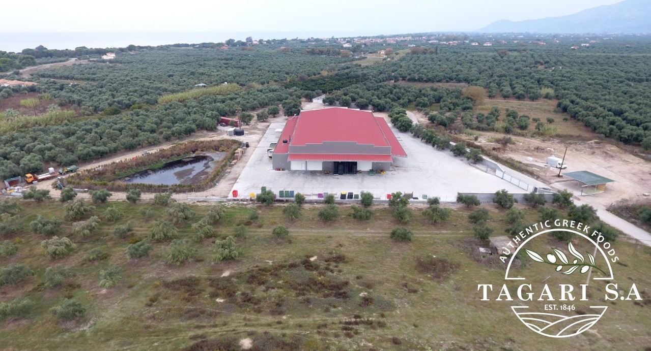 Our olive mill, molding & packaging plant is housed in a privately owned space of 3.000 square meters.